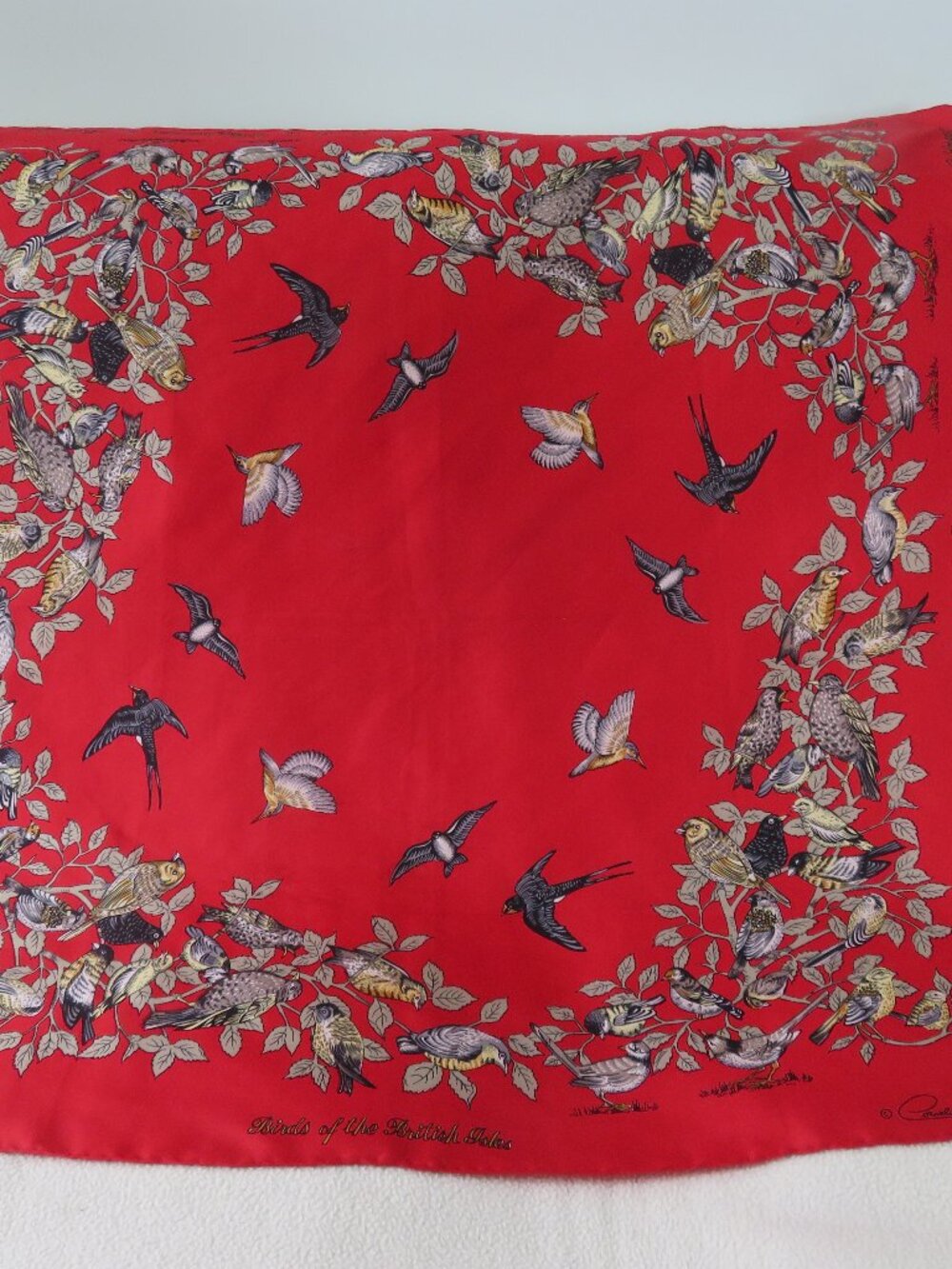 Cornelia James Silk Scarf